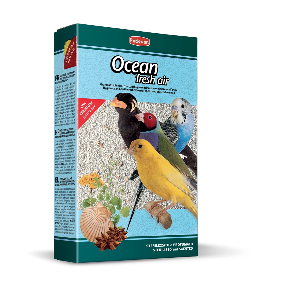 Ocean fresh air 1kg