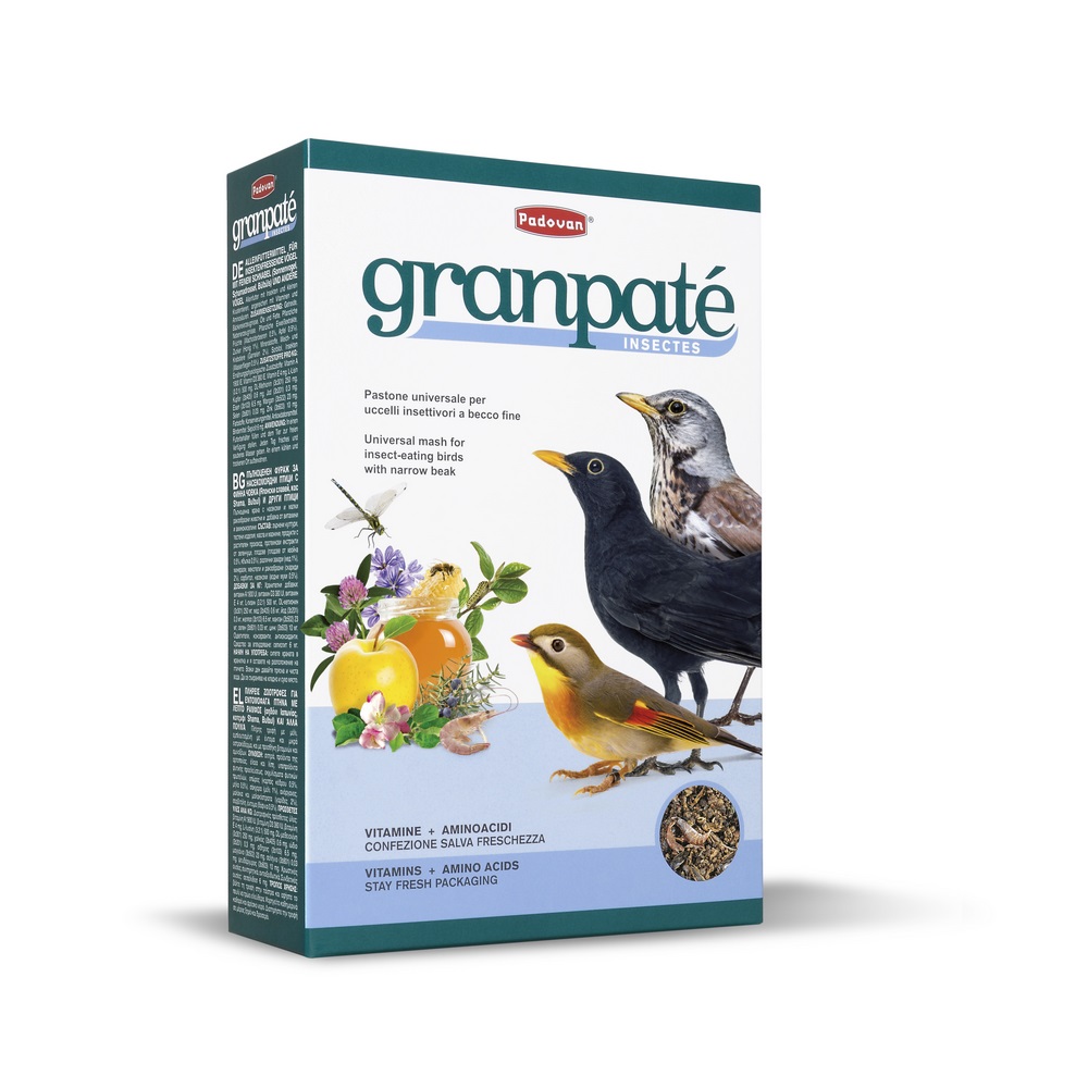 Gran patee insectes 1kg
