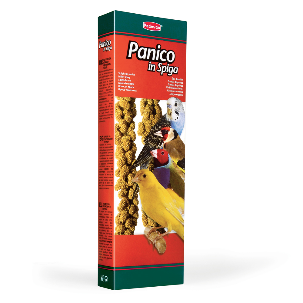 Proso u grozdu 100g