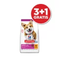 HSPD ADULT SMALL&MINI PILETINA 10kg 3+1 GRATIS